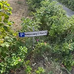 Seeschwalbe 78 Kompassweg Ferienhaus