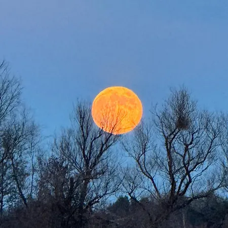 Seeschwalbe 78 Kompassweg Nyaraló *