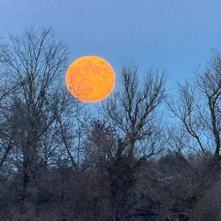 Nyaraló Seeschwalbe 78 Kompassweg